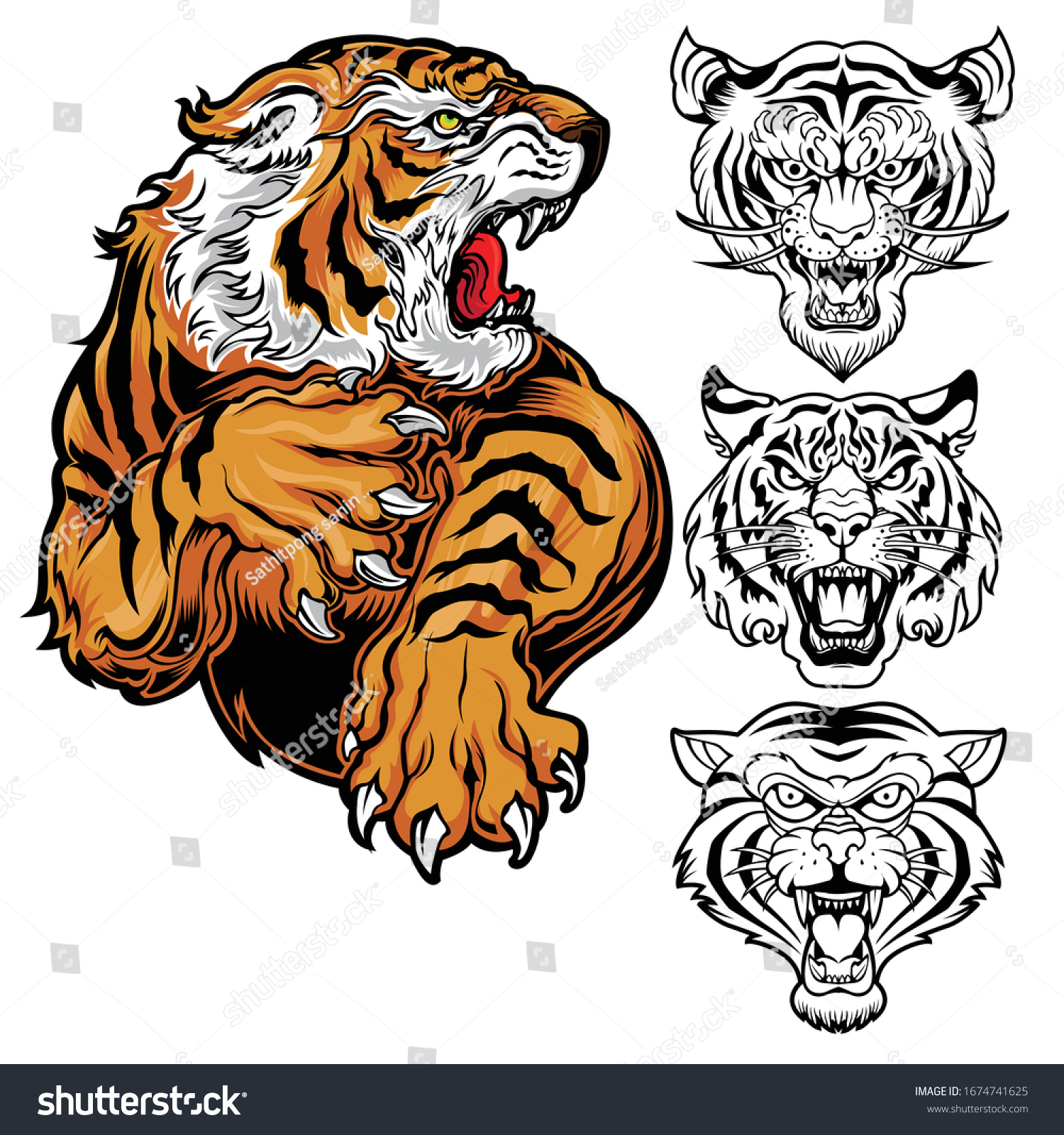 Hakuun Animals Angry Tiger Drawing Vector Head Liittyva Vektorikuva Rojaltivapaa 1674741625