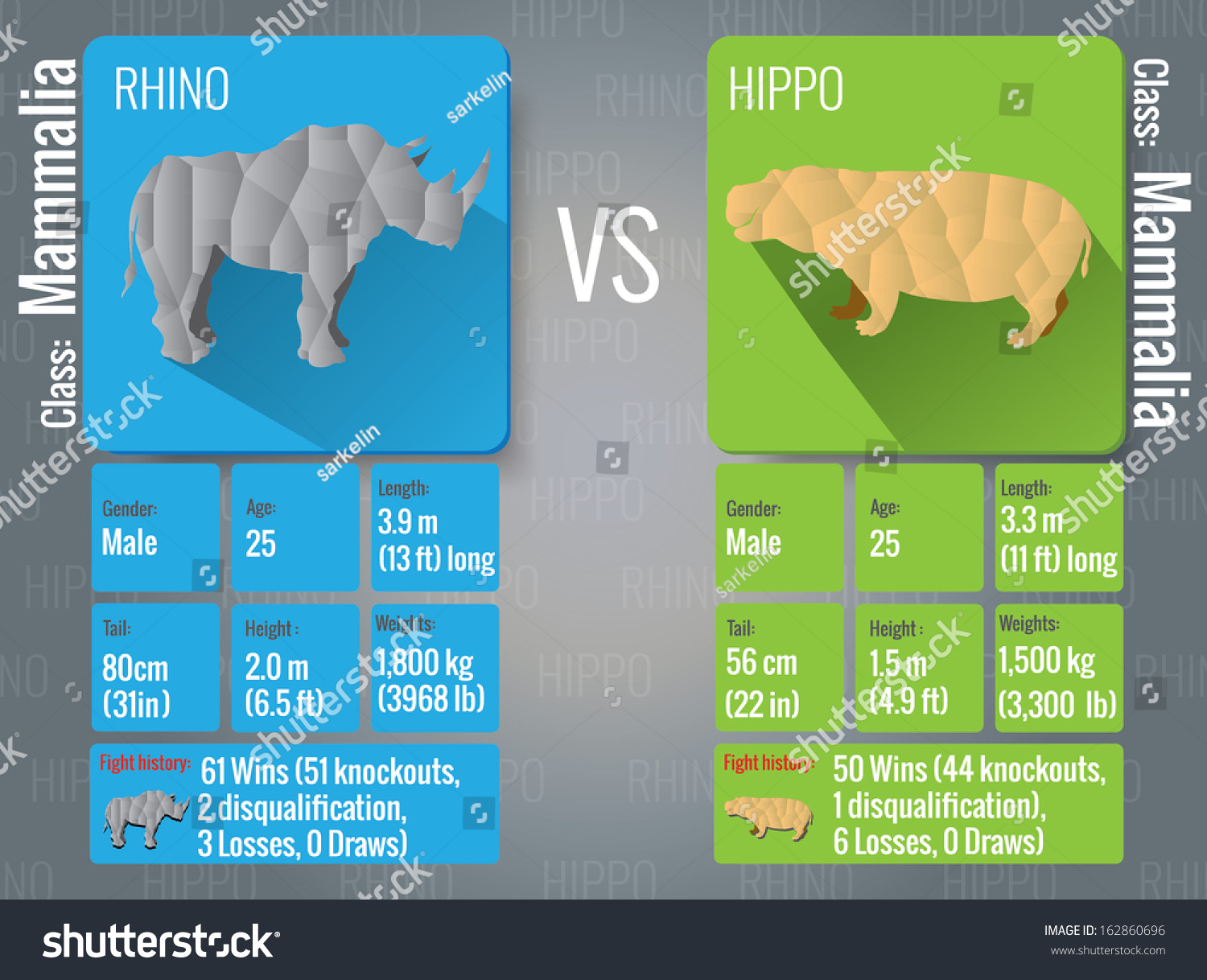 Who wins in a hippo versus elephant fight?