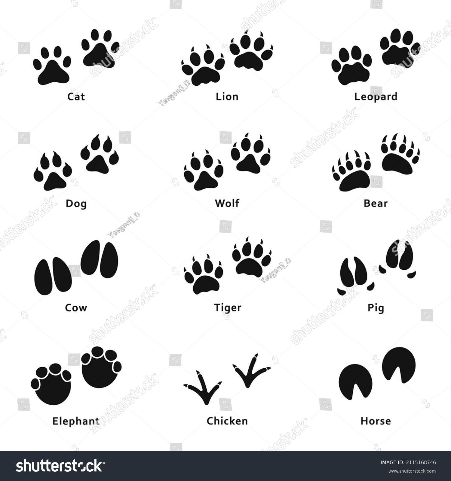 SVG of Animals footprints, paw prints. Set of different animals and birds footprints and paw traces. Vector svg