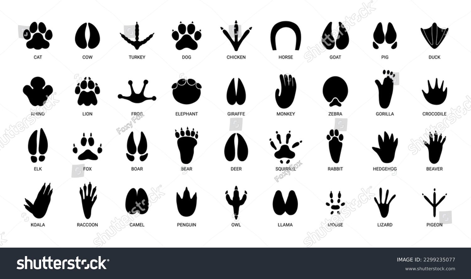SVG of Animals footprints. Prints animal bird paw, wildlife foot icon, domestic pets footstep silhouette, print hoofed feet, black amphibia feet track vector set. Cat, turkey, chicken and horse trail svg