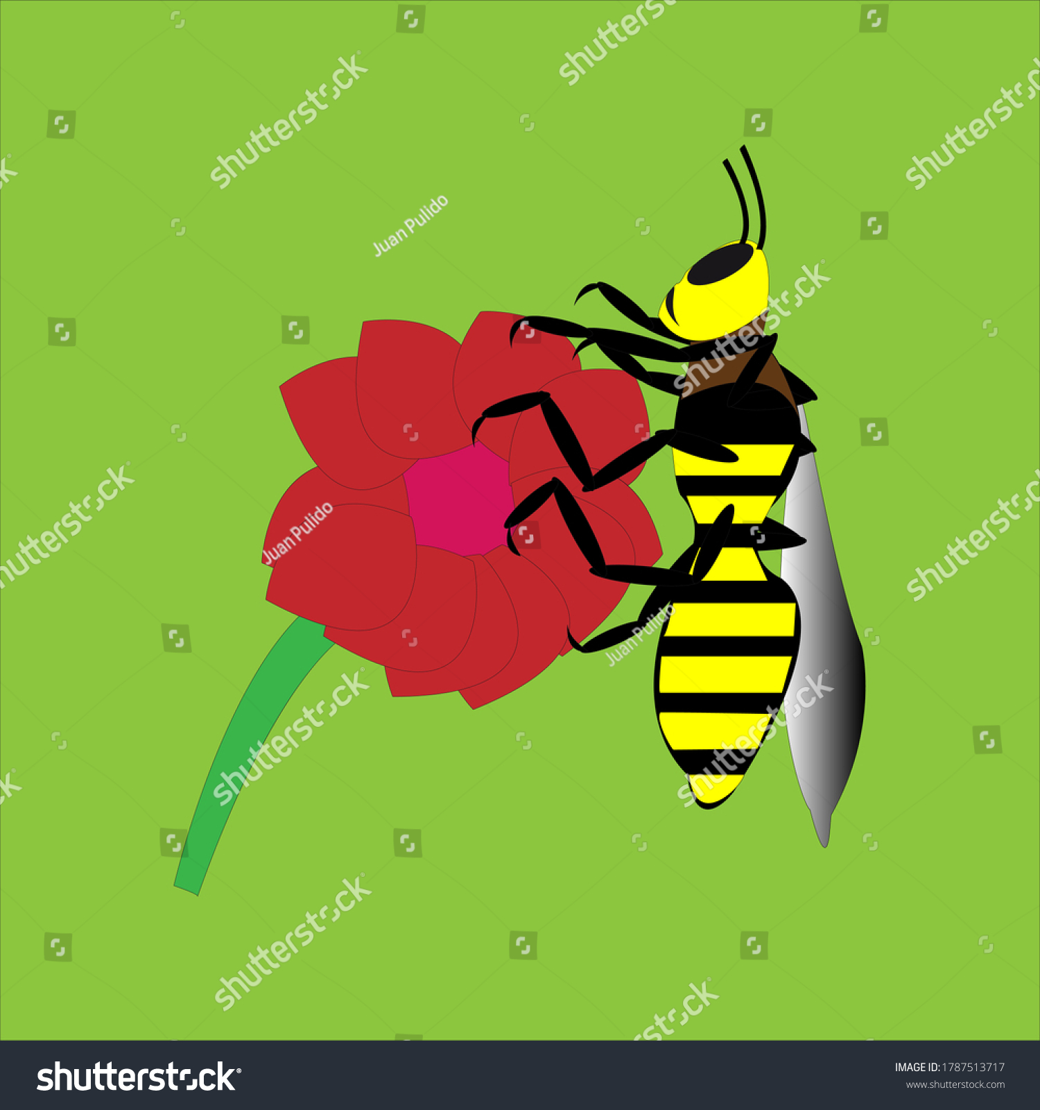 Anthophila Stock Vectors Images And Vector Art Shutterstock