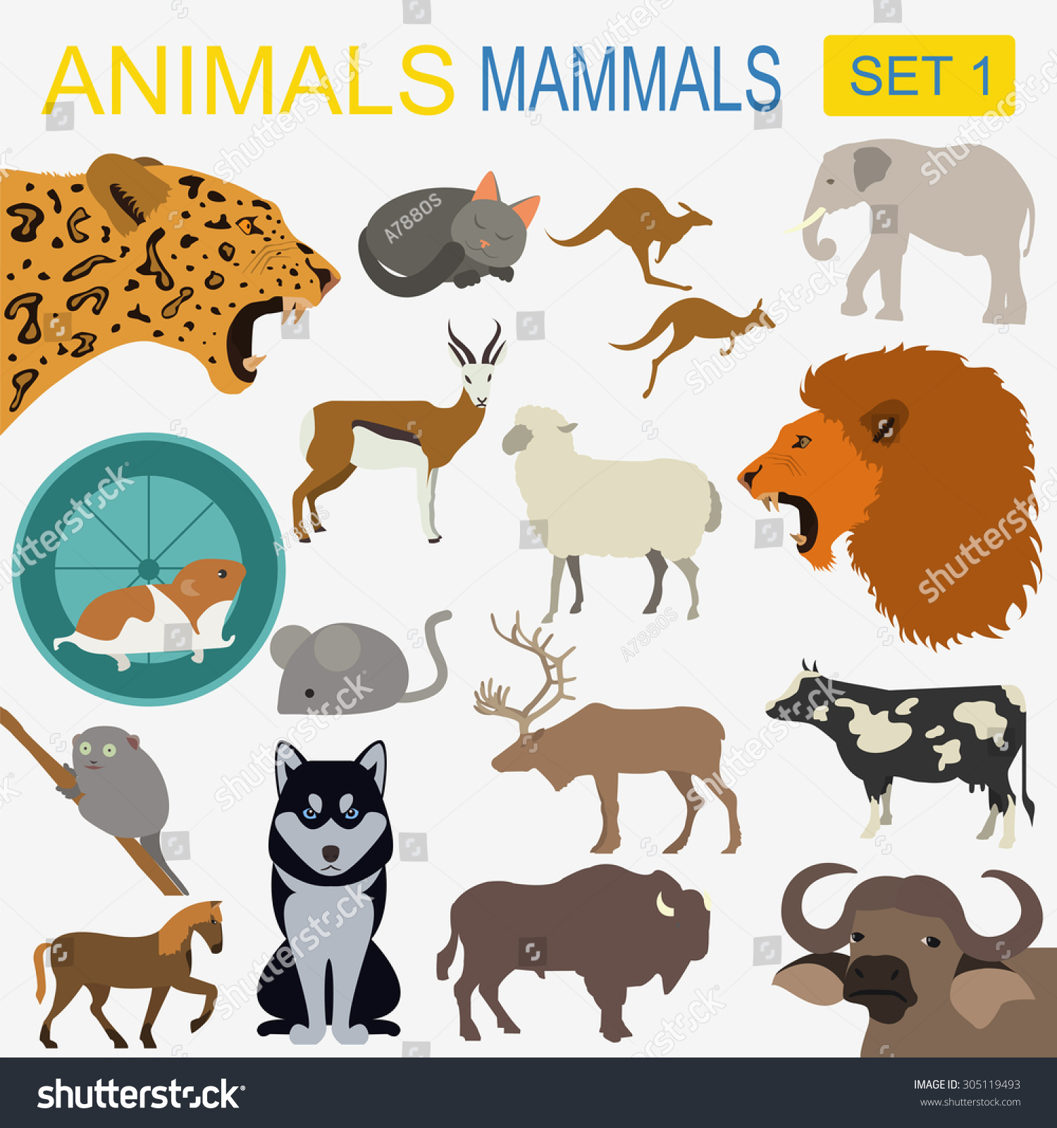 Animals Mammals Icon Set Vector Flat Stock Vector (Royalty Free) 305119493