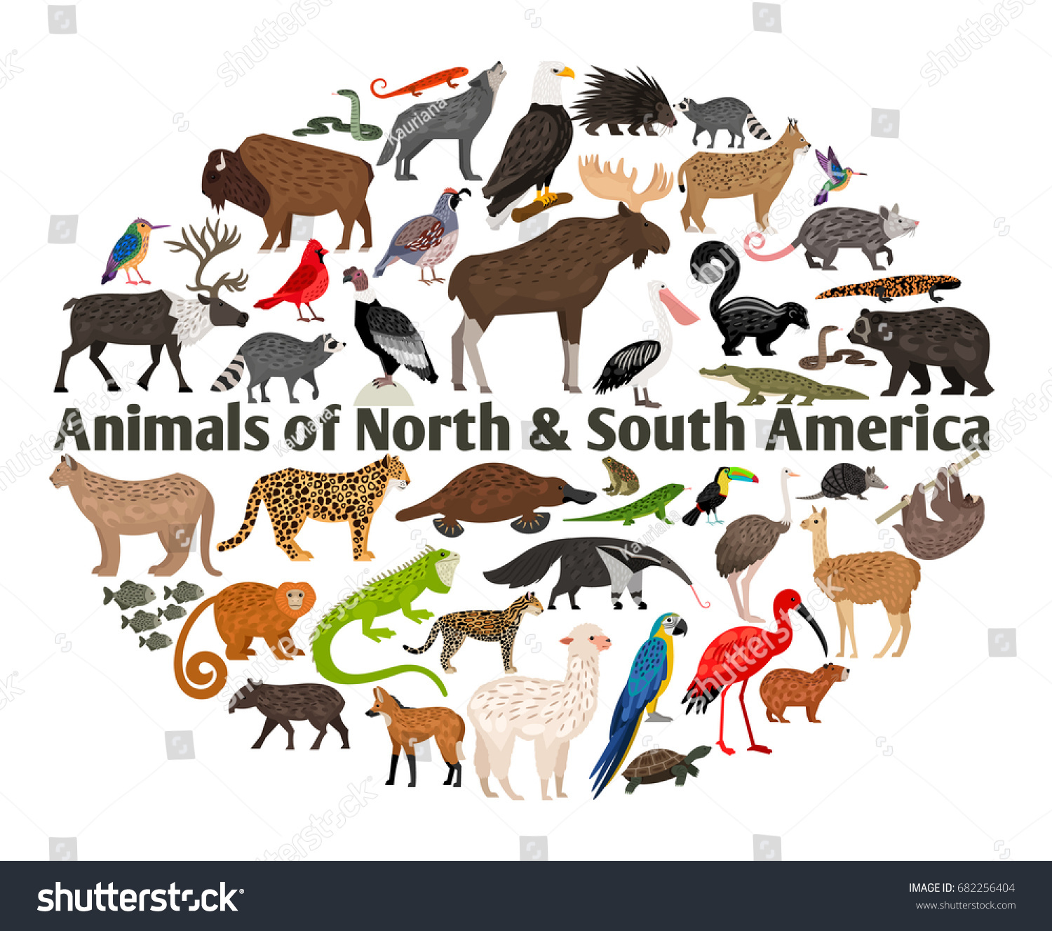 Animals North South America Stock Vector 682256404 - Shutterstock