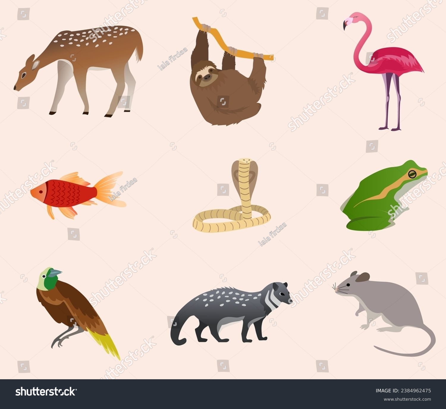 SVG of animals set collection vector illustration, all animals in different sector, amphibia, reptile, mammal, aves animals svg