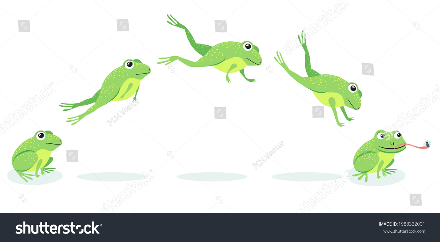 4,467 Frog side Images, Stock Photos & Vectors | Shutterstock