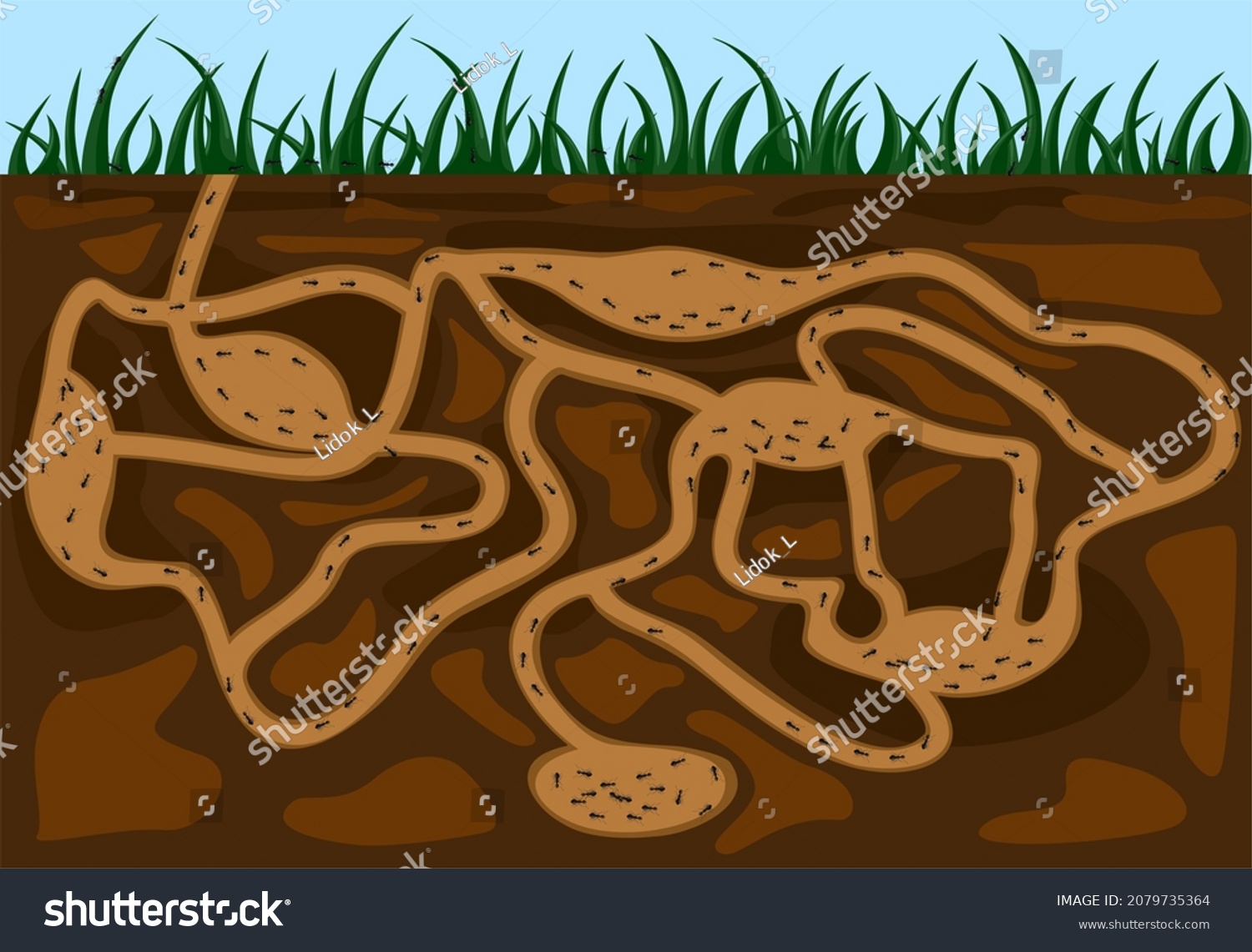 17,526 Image anthill Images, Stock Photos & Vectors | Shutterstock