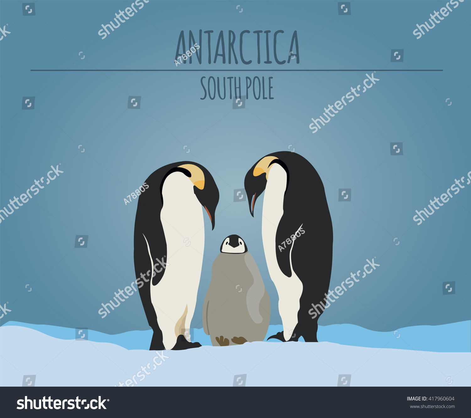 antarctica south pole graphic template vector illustration
