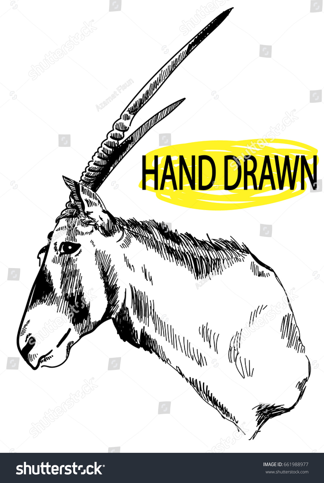 Antelope Oryx Drawing By Hand Vintage Stock Vector Royalty