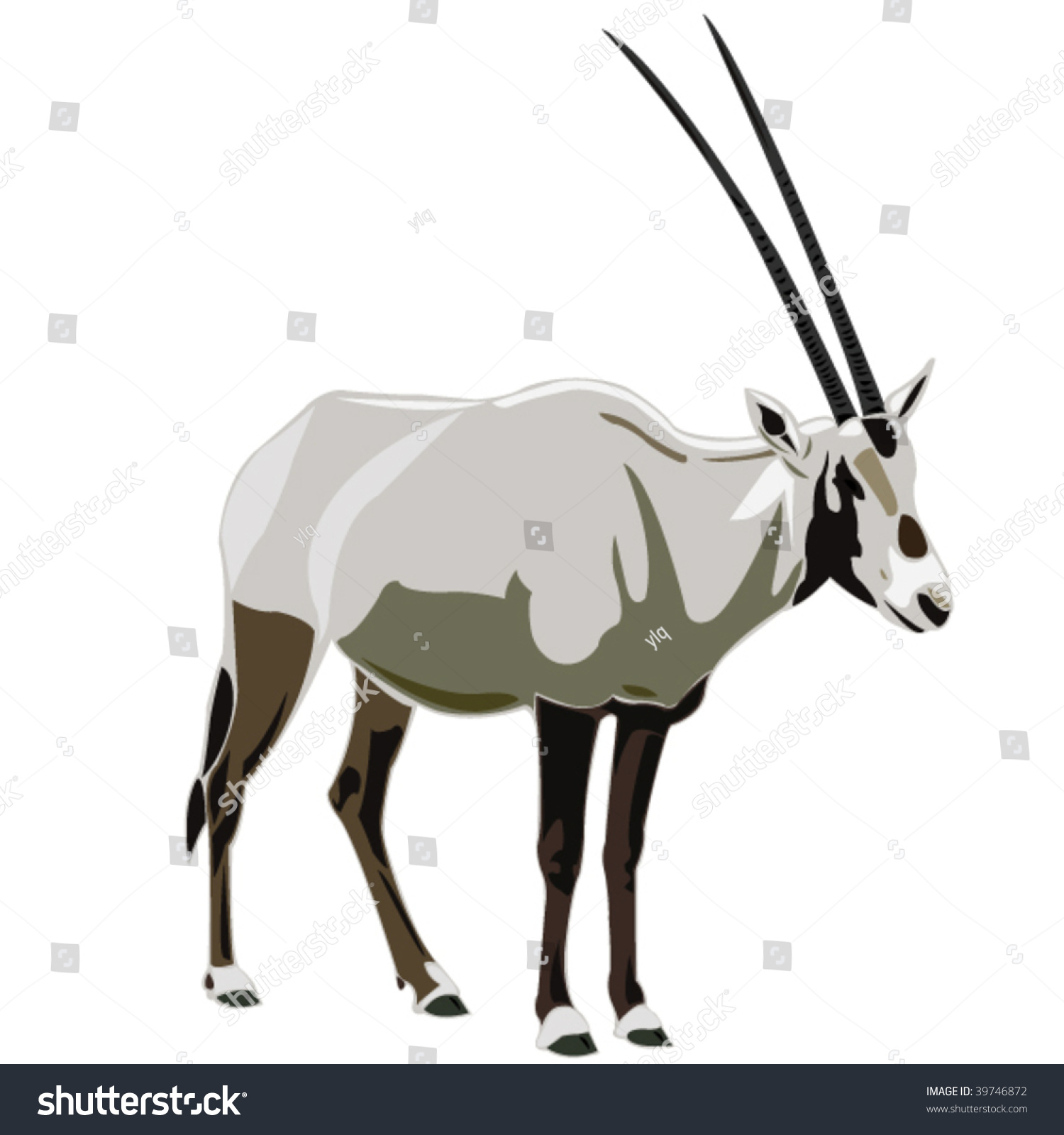 Antelope Series Arabian Oryx Stock Vector Illustration 39746872 ...