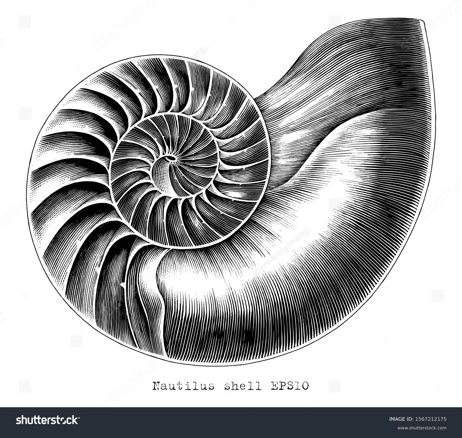 355 Petrified drawings Images, Stock Photos & Vectors | Shutterstock