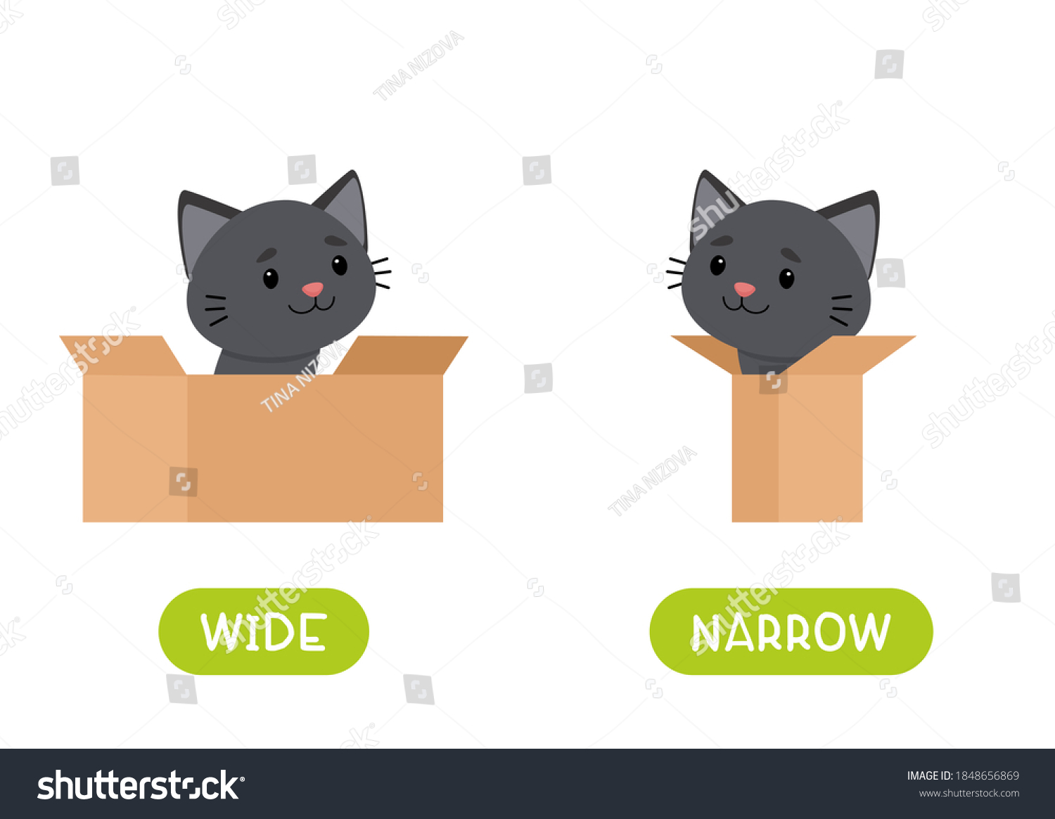 antonyms-concept-wide-narrow-educational-flash-stock-vector-royalty