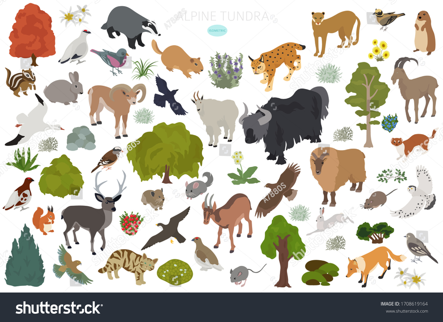 Apine Tundra Biome Natural Region Isometric Stock Vector (Royalty Free ...