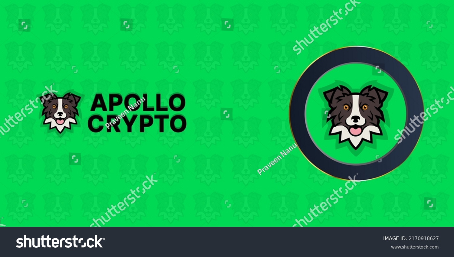 apollo inu crypto