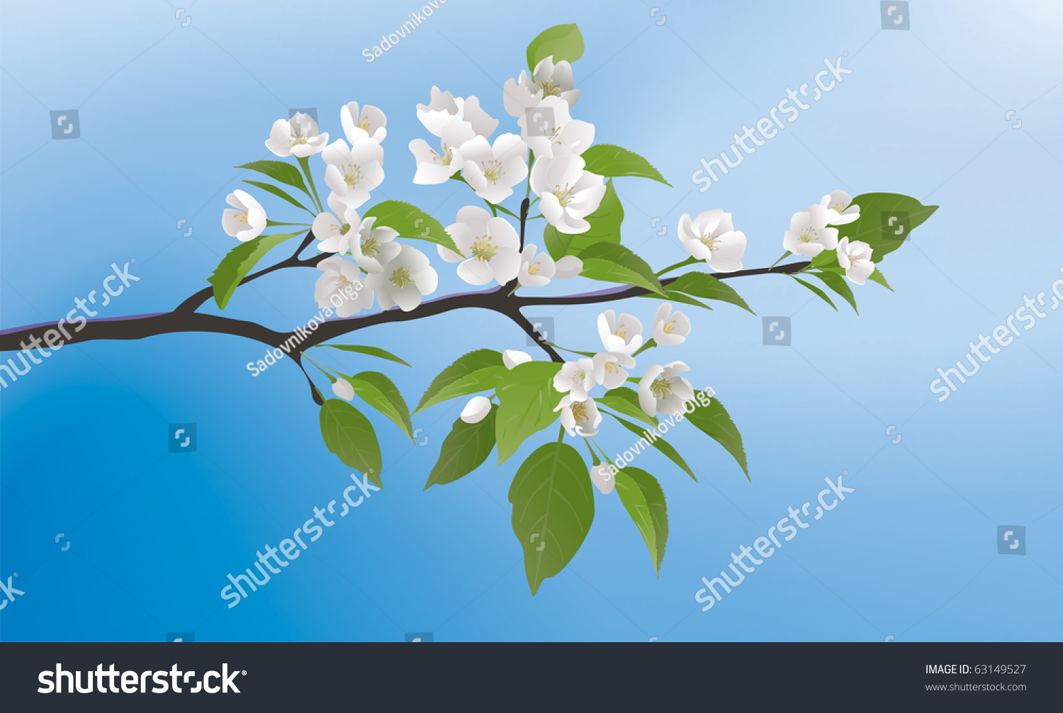 SVG of apple blossoms. Spring Apple-tree branch in bloom svg