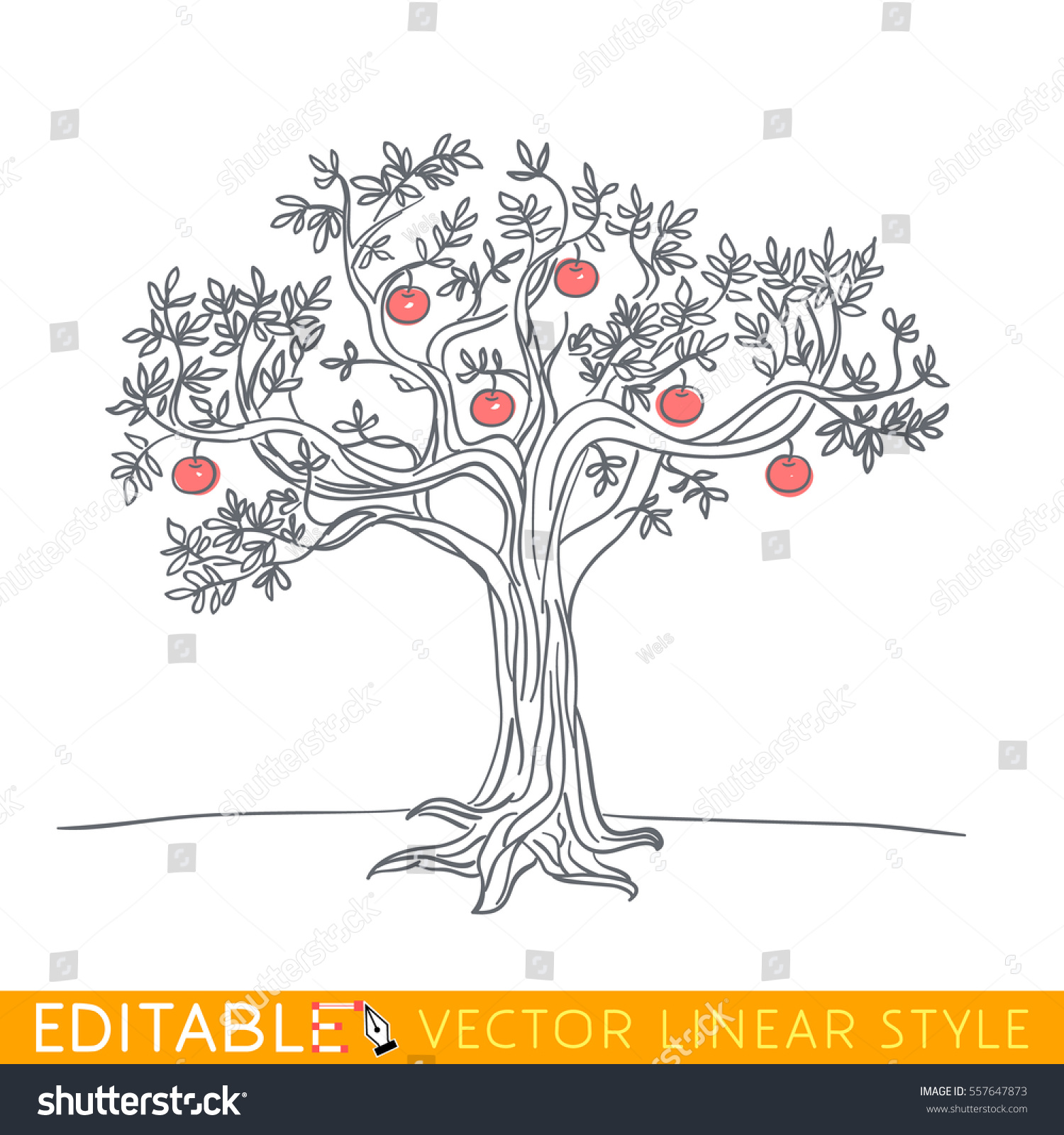 Apple Tree Drawing Editable Line Sketch Stock Image Download Now