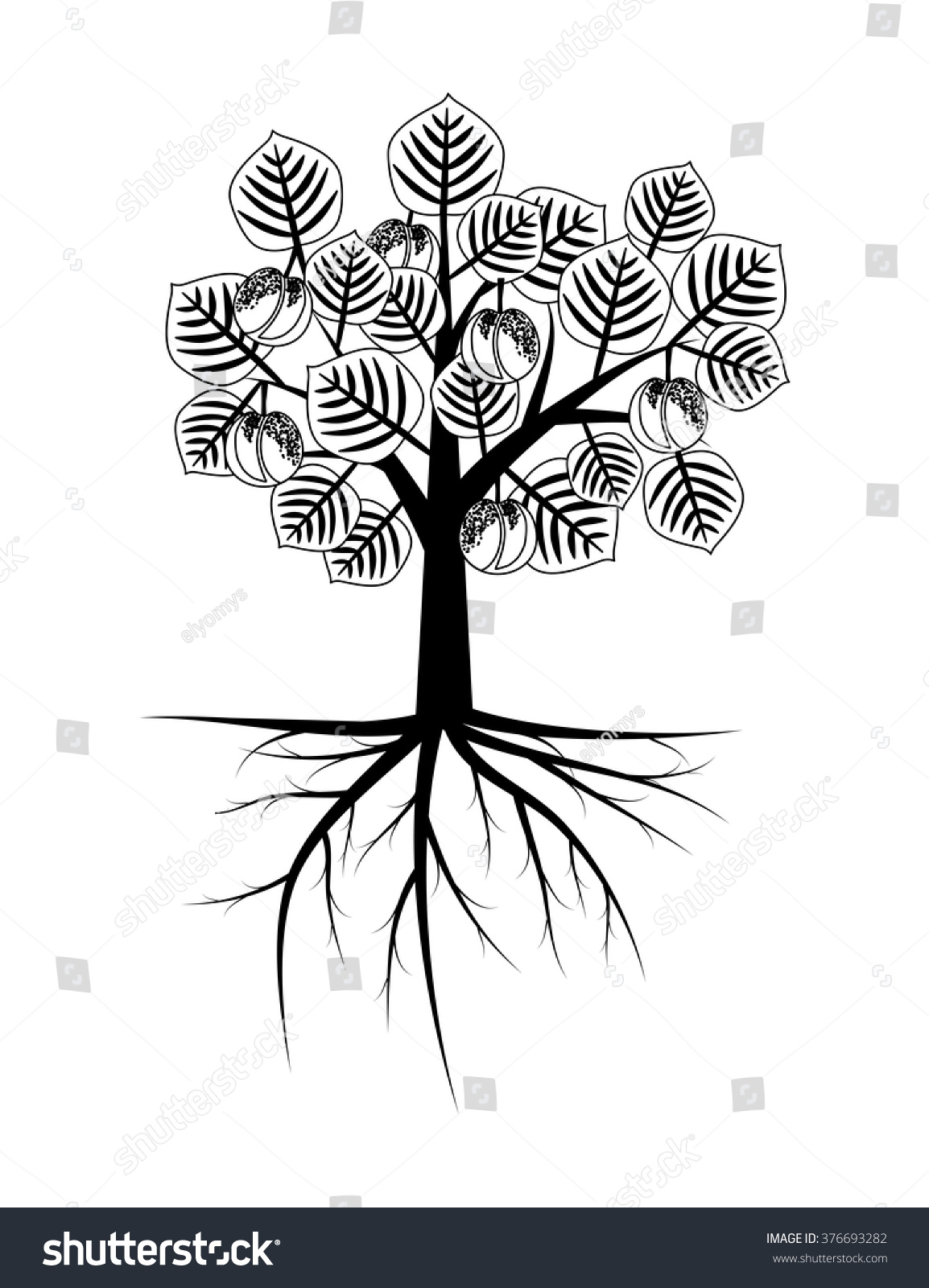 Apricot Tree Roots Illustration Stock Vector (royalty Free) 376693282 