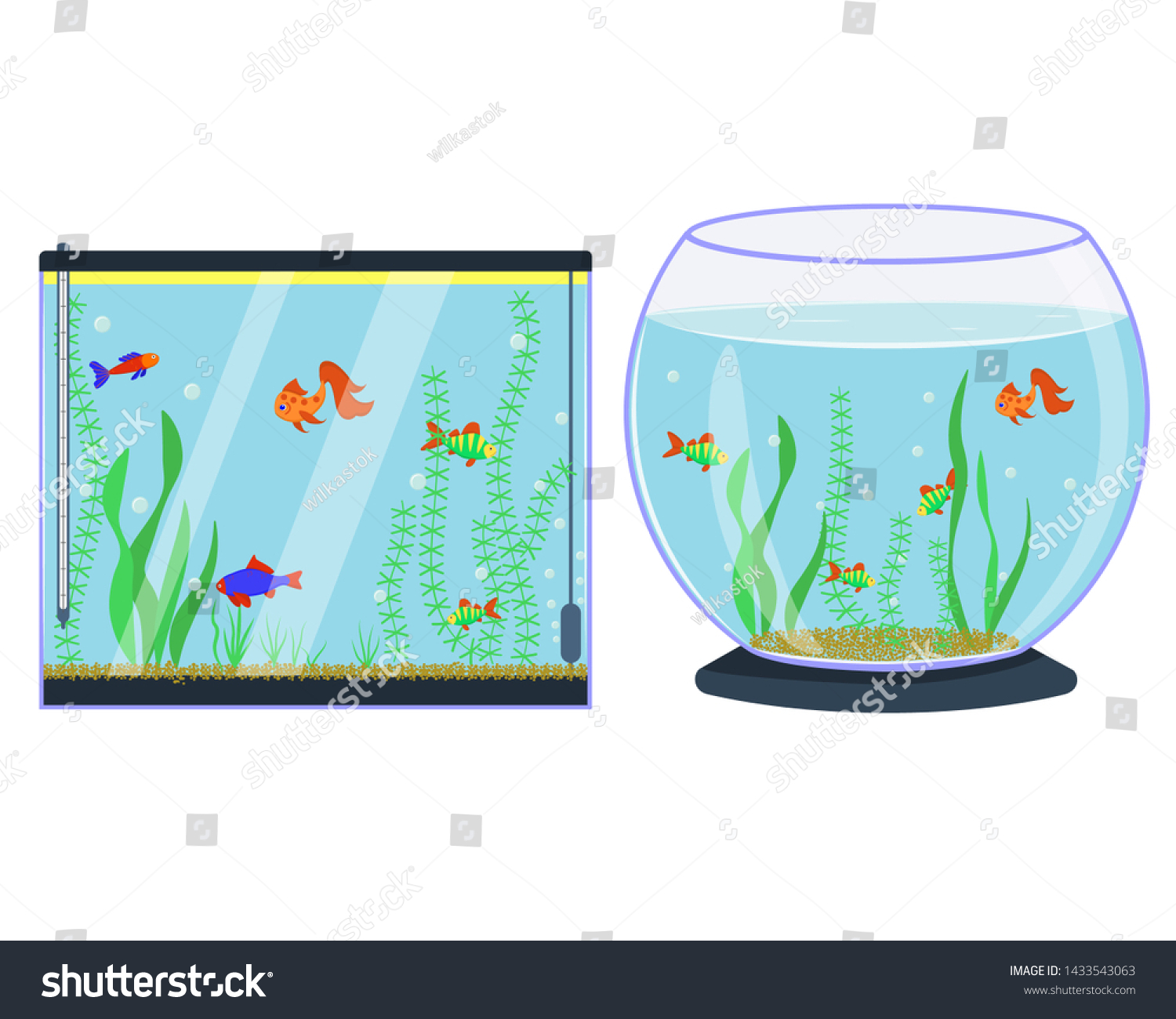 rectangular fish bowl