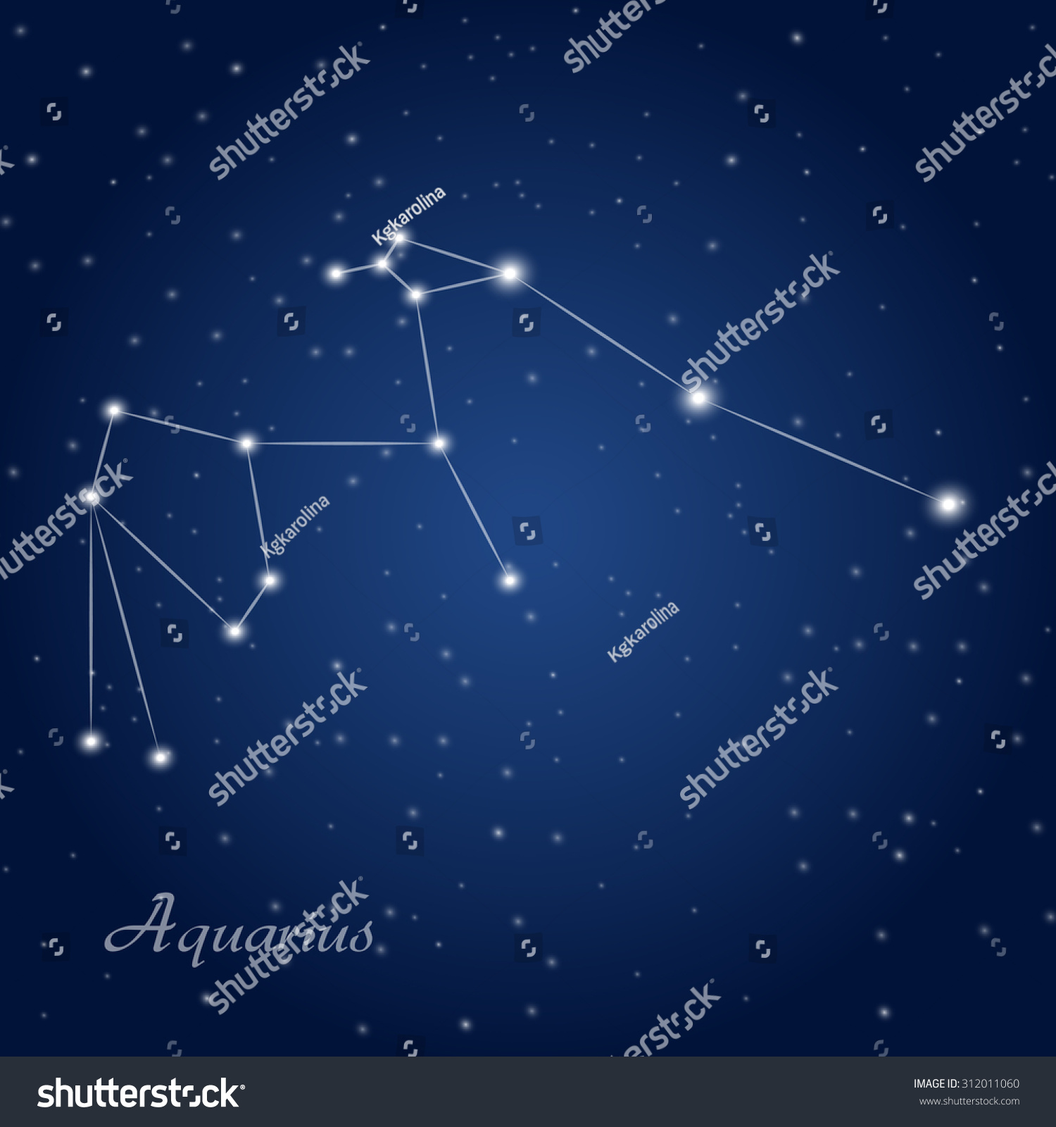 Aquarius Constellation Zodiac Sign Starry Night Stock Vector 312011060 ...