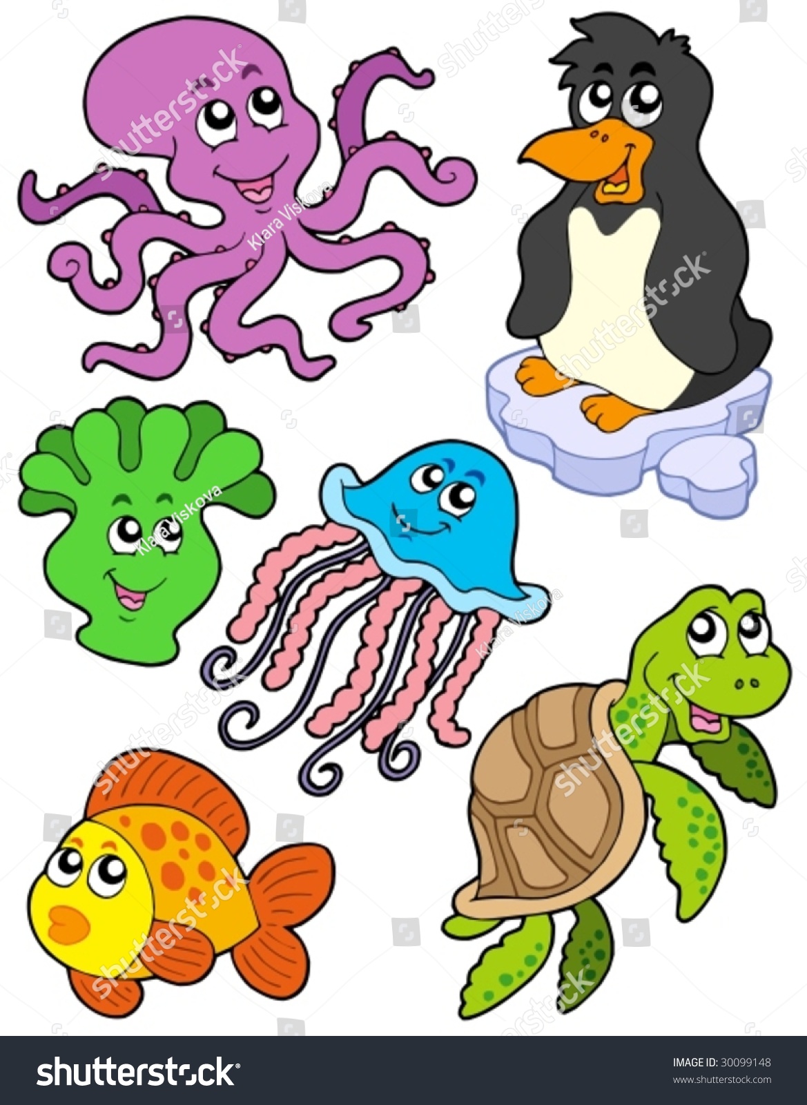 Aquatic Animals Collection 2 - Vector Illustration. - 30099148