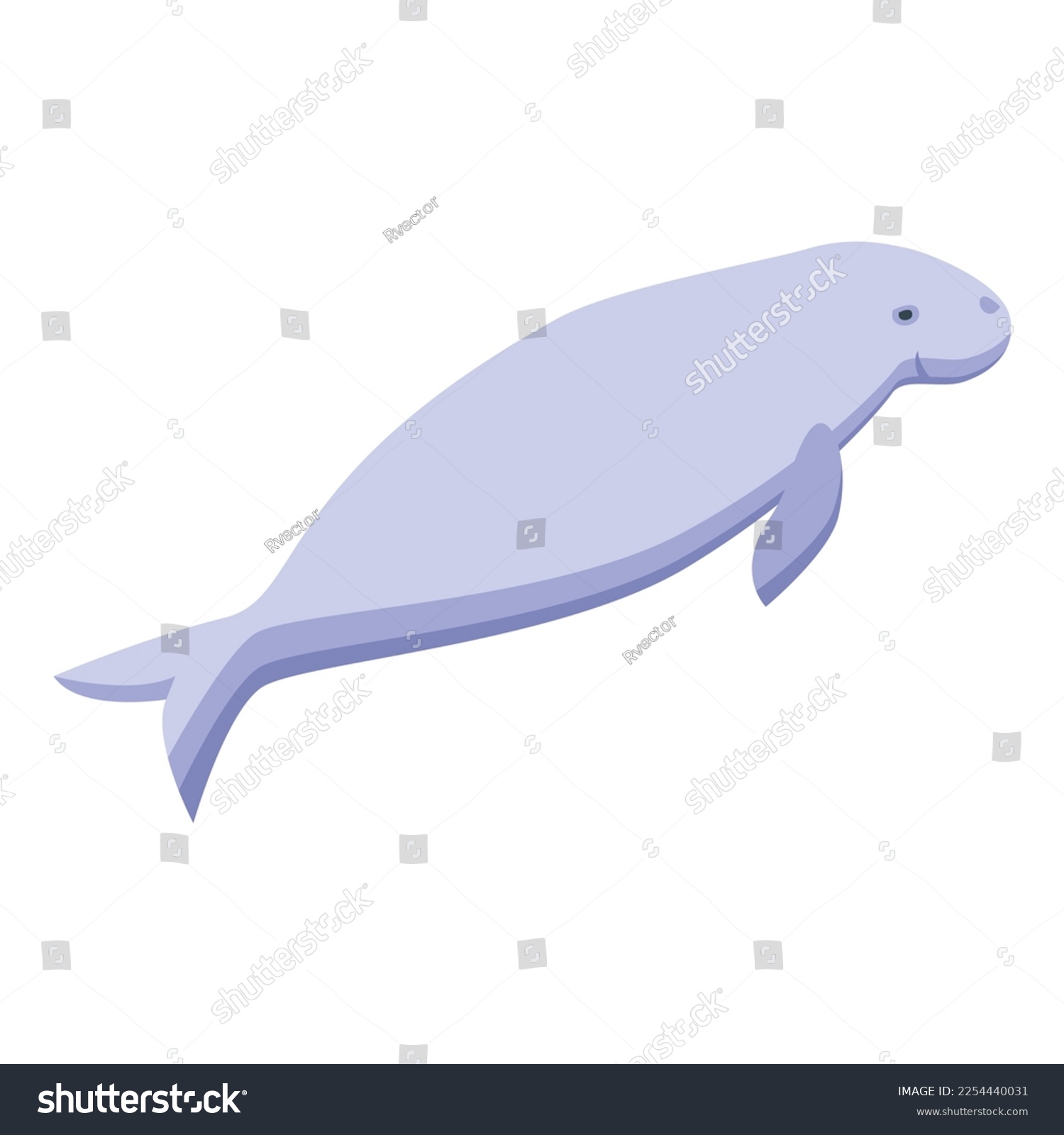 SVG of Aquatic mammal icon isometric vector. Sea manatee. Water animal svg