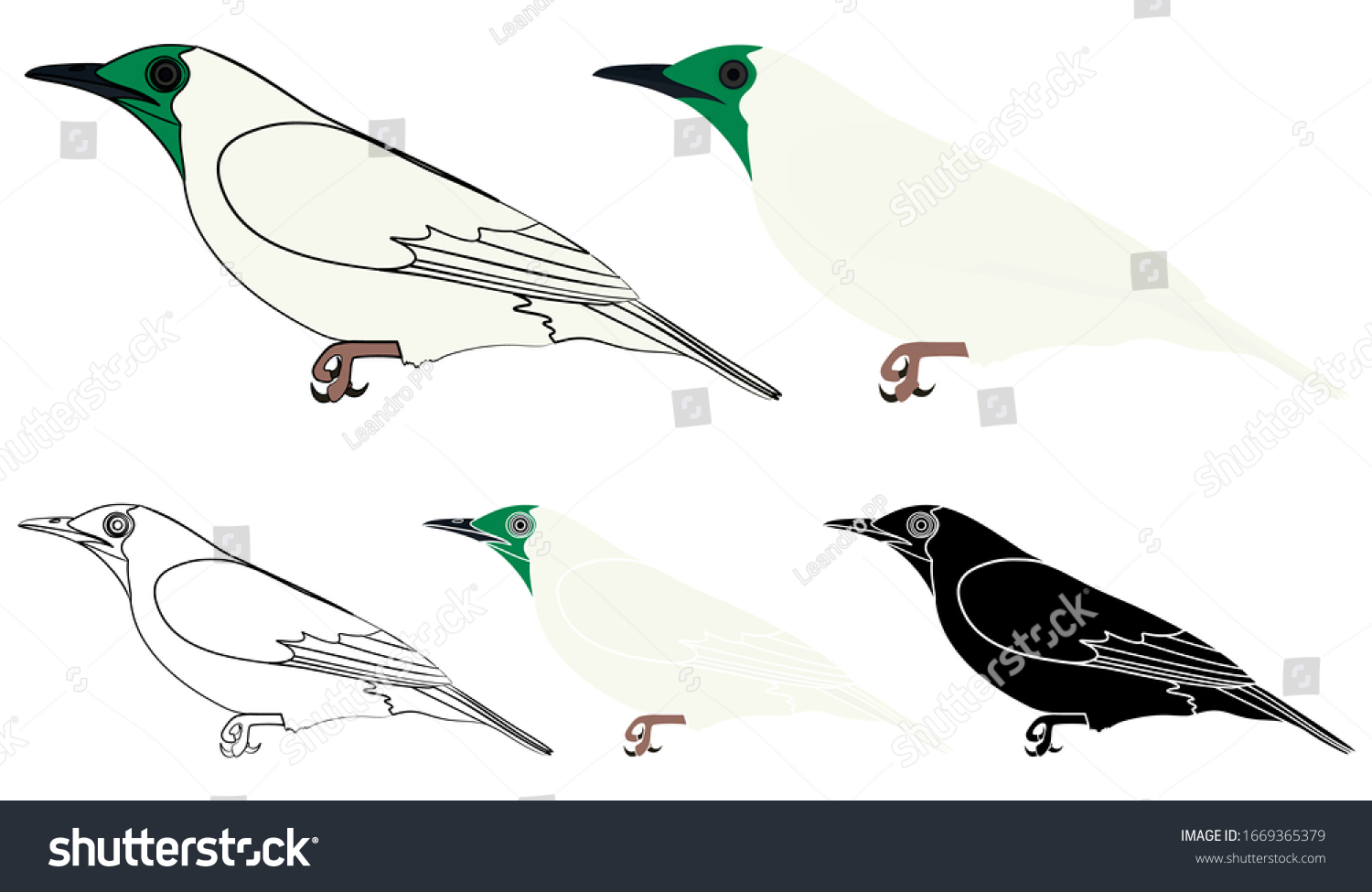 縦断ビューのアラポンガ鳥 のベクター画像素材 ロイヤリティフリー