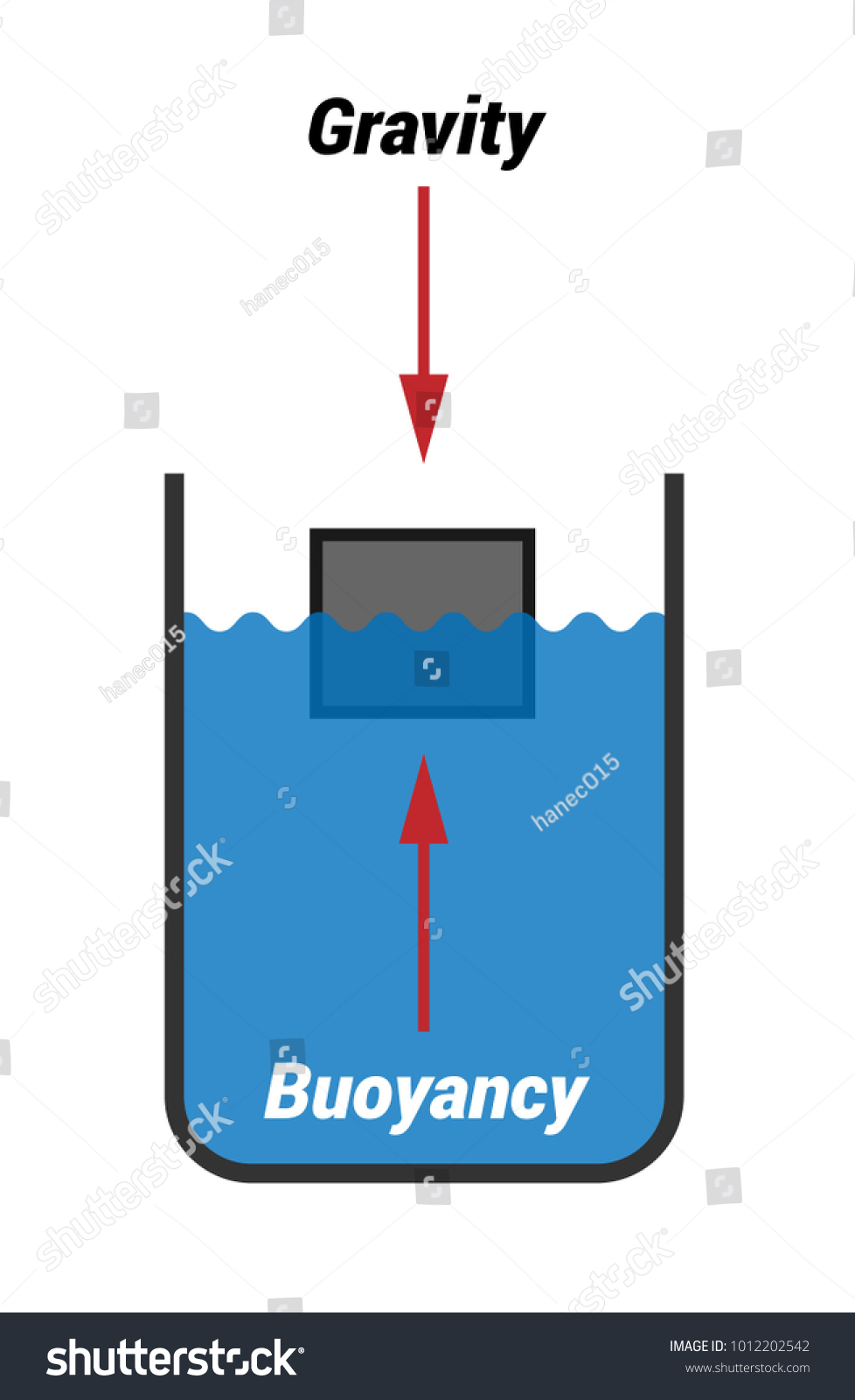 Archimedes Law Vector Stock Vector (Royalty Free) 1012202542