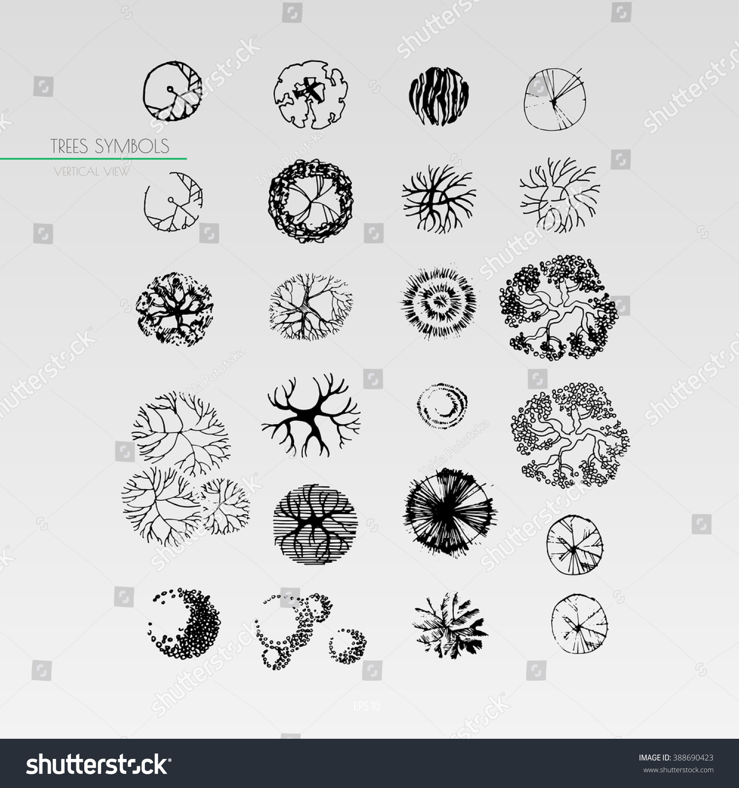 Landscape Design Drawing Symbols