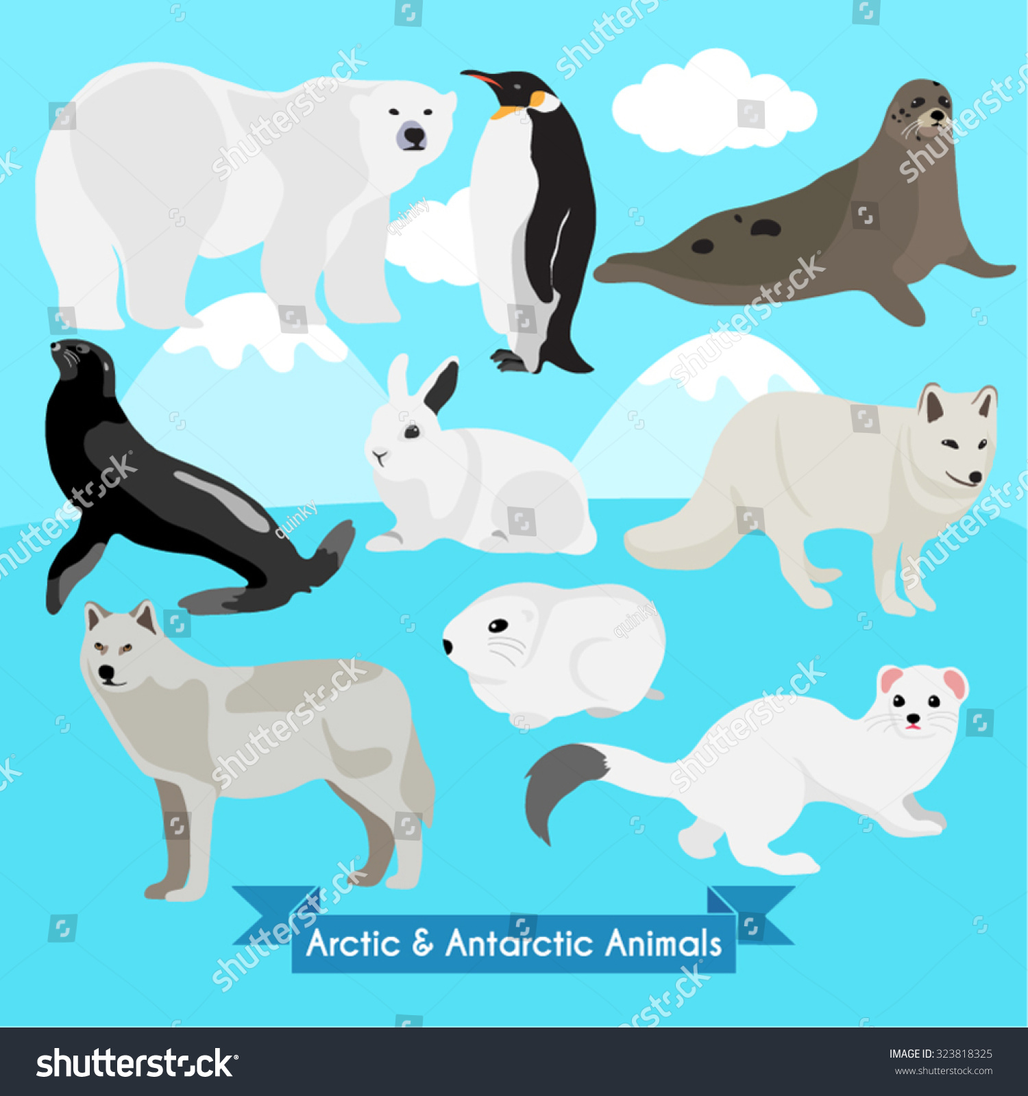 Arctic Antarctic Animals Vector Design Illustration Stock Vector ...