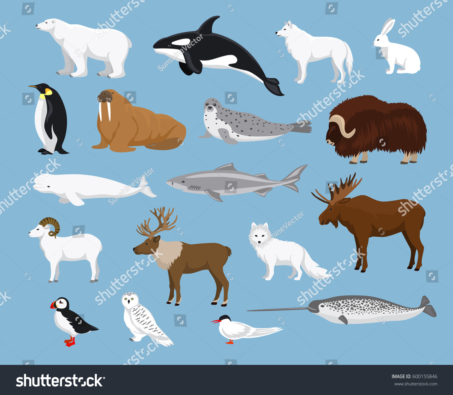 SVG of Arctic animals collection with reindeer, orca, narwhal, shark, musk ox, fox, wold, puffin, tern, moose, walrus, penguin, beluga whale, hare, polar bear, harp seal, dall sheep, snowy owl svg