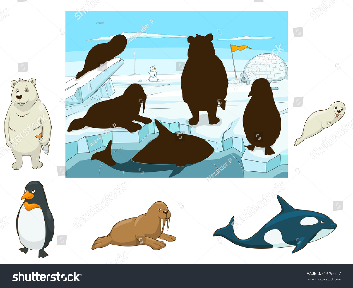 Arctic Animals Educational Game For Kids Vector Illustration ...