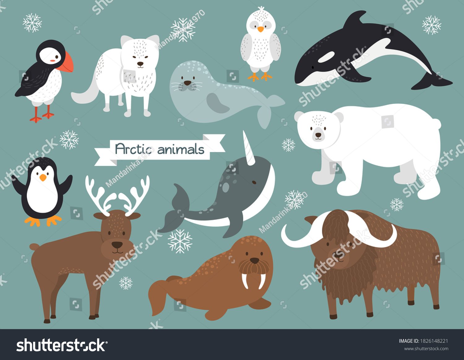 Arctic Animals Set Arctic Fox Polar Stock Vector (Royalty Free ...