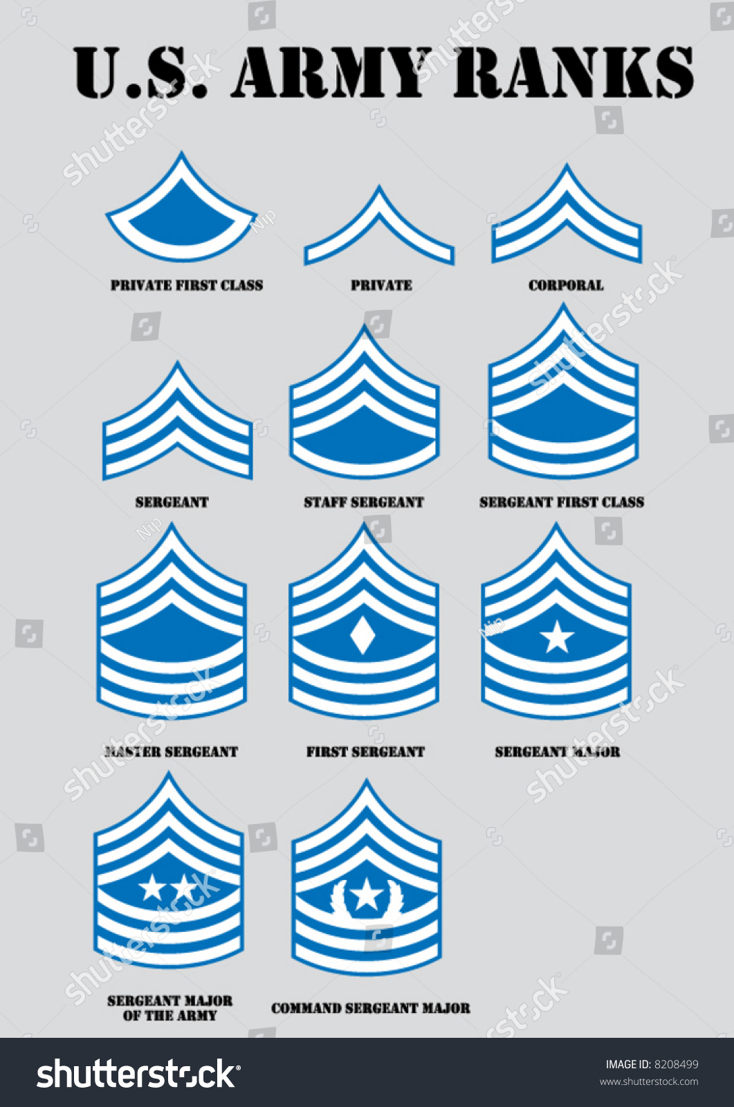 Army Ranks Stock Vector 8208499 : Shutterstock