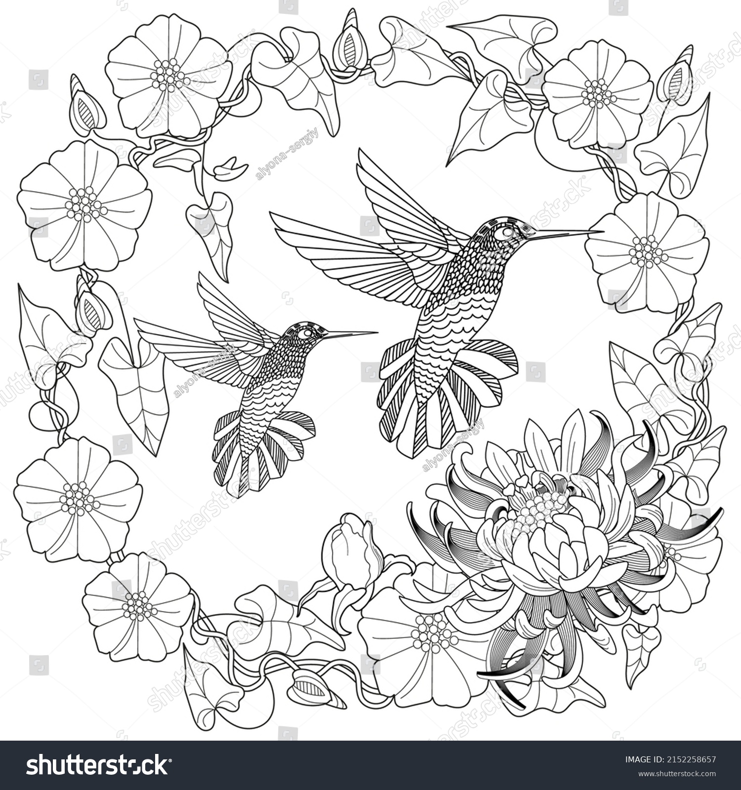 Art Therapy Coloring Page Hummingbird Vintage Stock Vector (Royalty ...