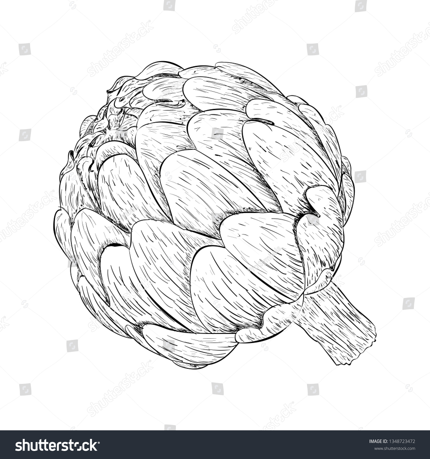 Artichoke Illustration Vector Hand Drawn Visual Stock Vector (Royalty ...