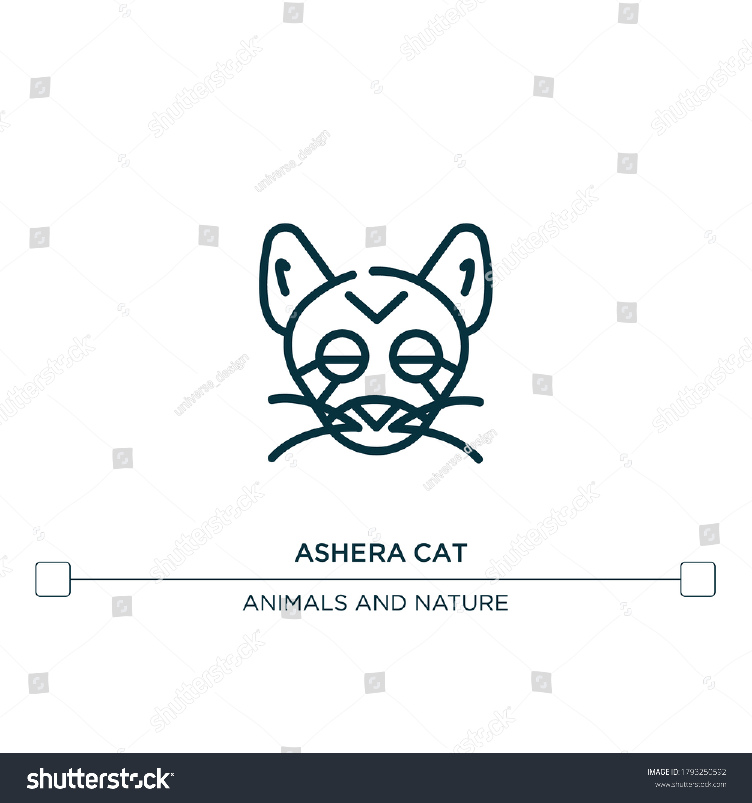 Stock Vektor Ashera Cat Vector Line Icon Simple Bez Autorskych Poplatku 1793250592