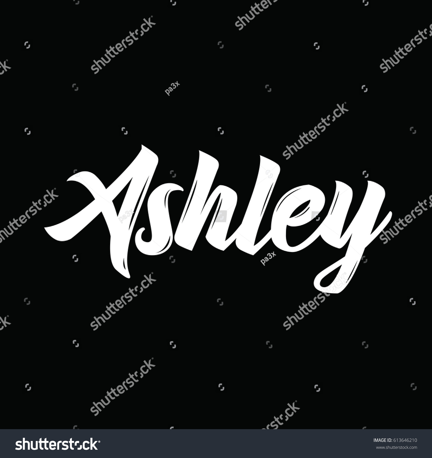 Ashley Text Design Vector Calligraphy Typography: vector de stock