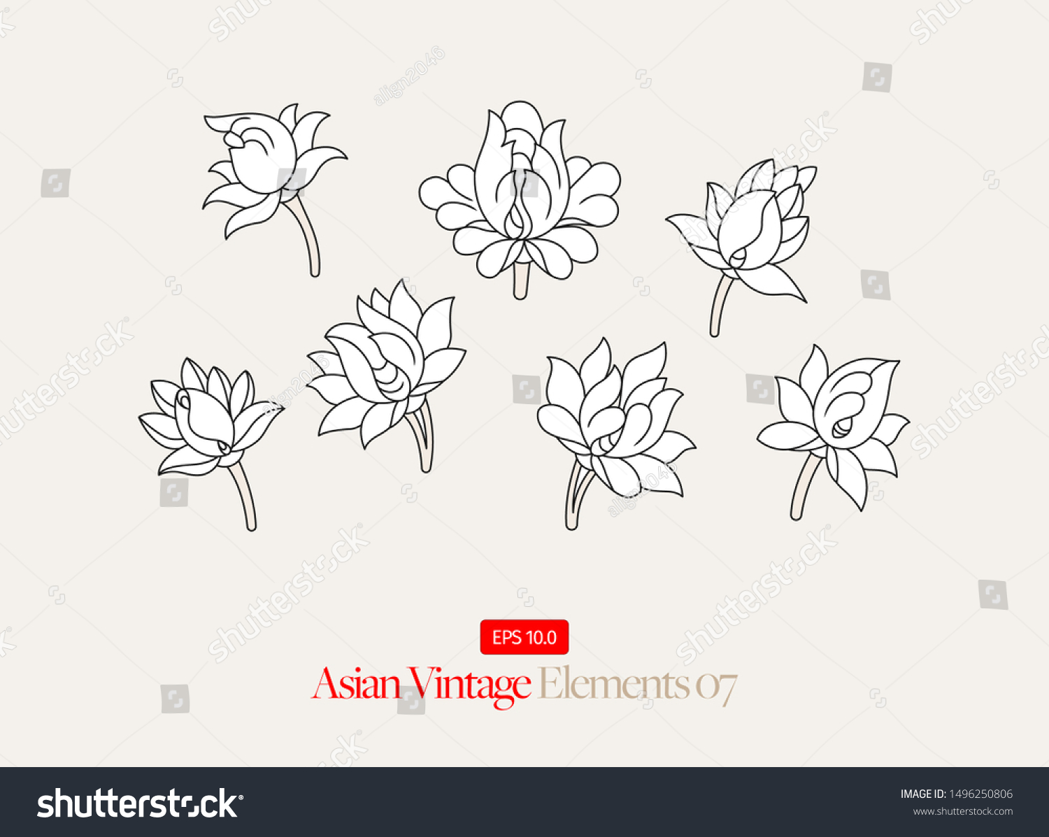 Asian Flower Drawing Collection Vector Stock Vector (Royalty Free ...