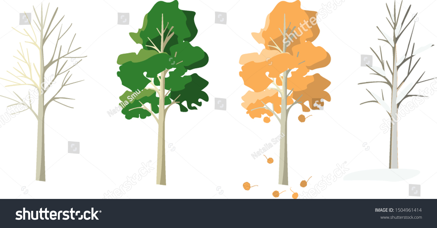 SVG of Aspen in four seasons. Aspen in winter,spring,summer, fall. The tree changes its appearance with the change of season.
 svg
