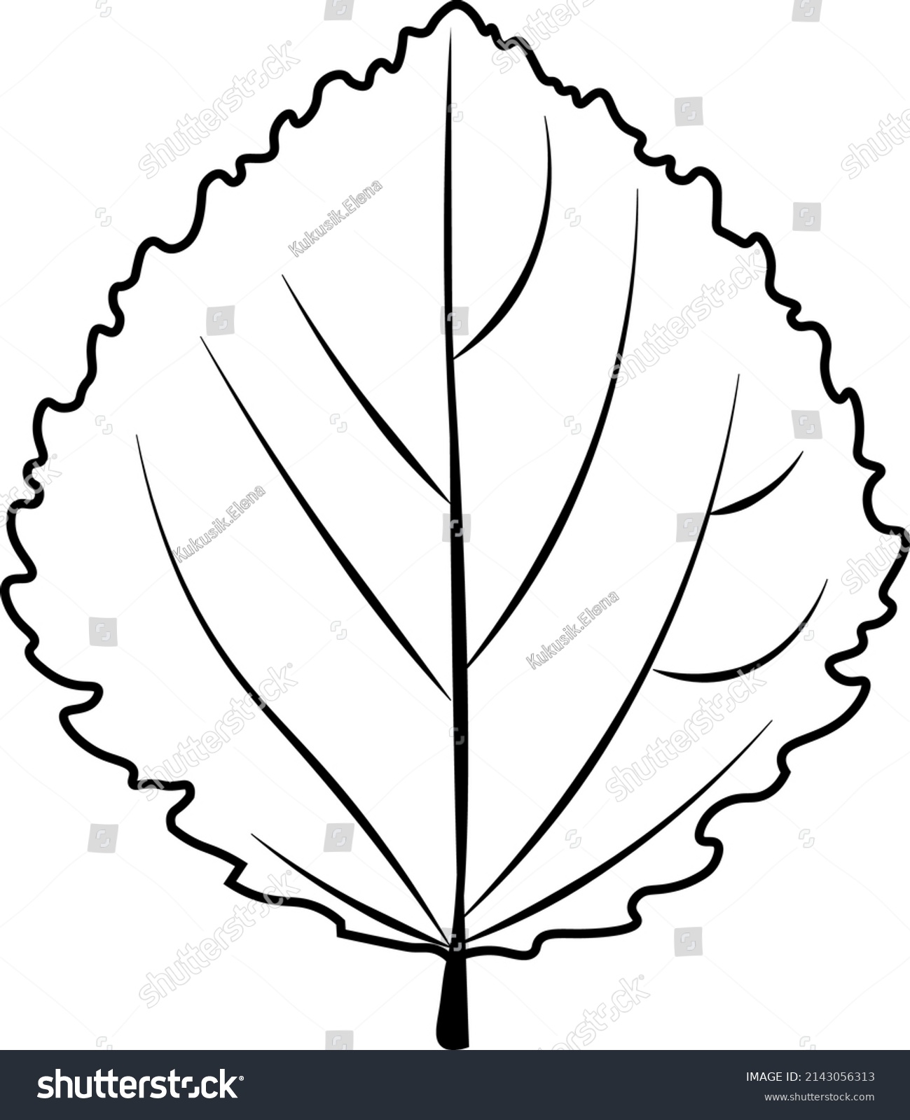 Aspen Leaf Vector Black White Stock Vector (Royalty Free) 2143056313