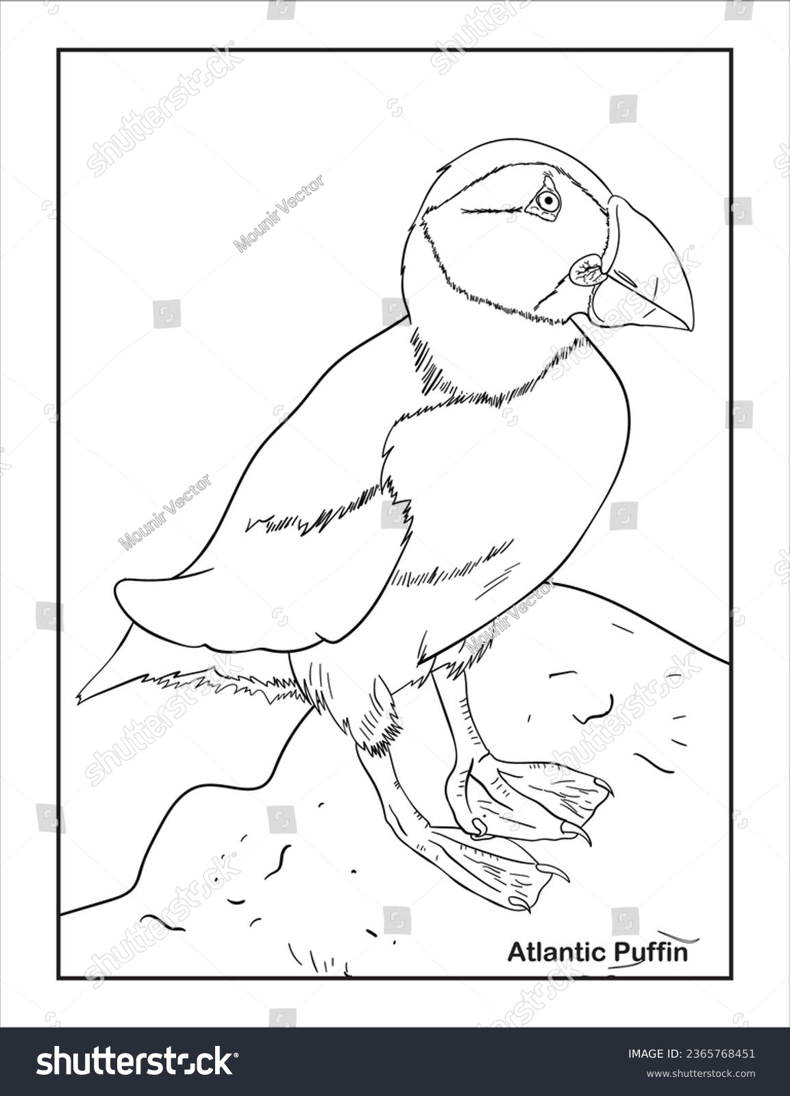 SVG of Atlantic Puffin Bird coloring page svg
