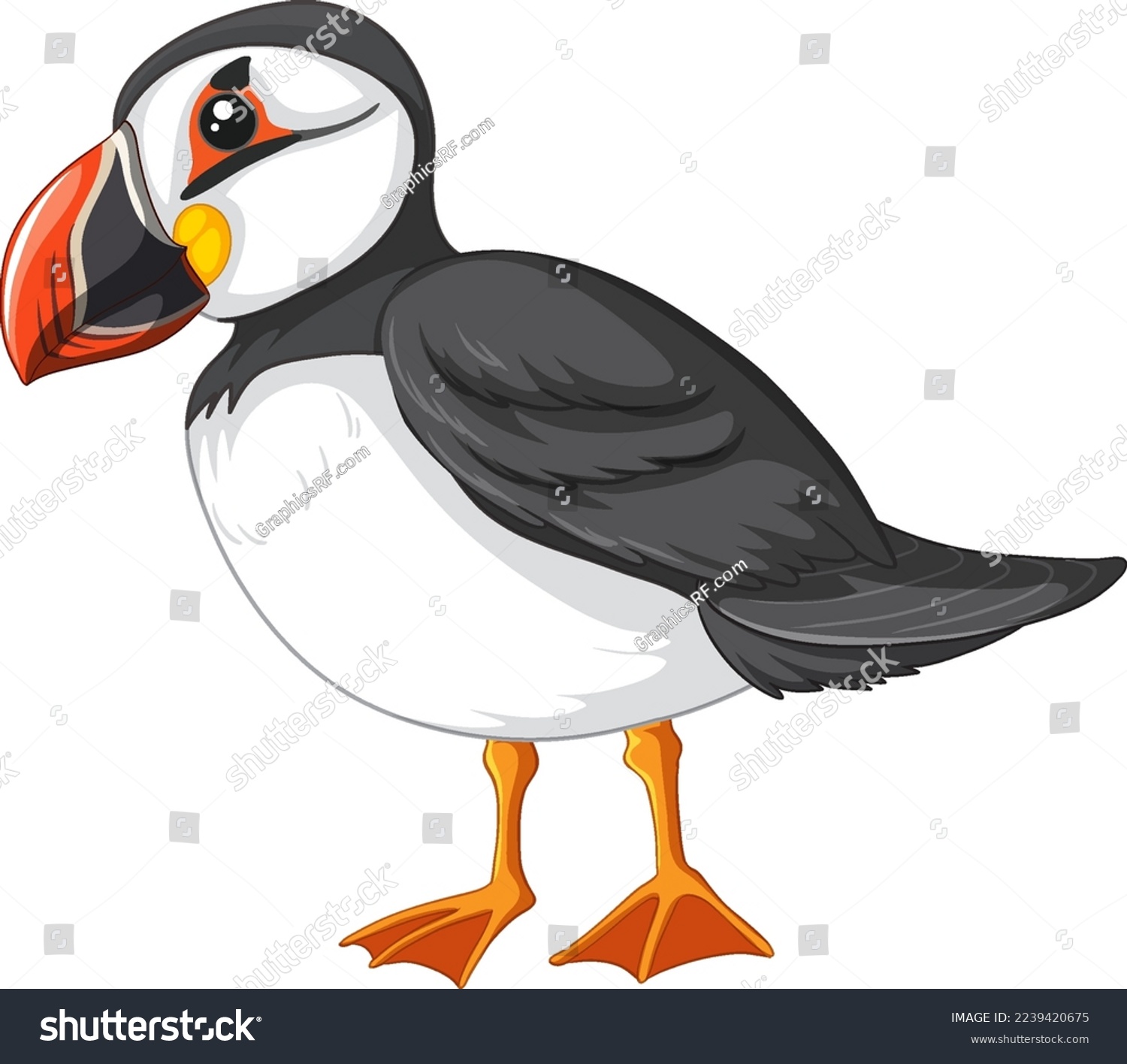 SVG of Atlantic puffin bird on white background illustration svg
