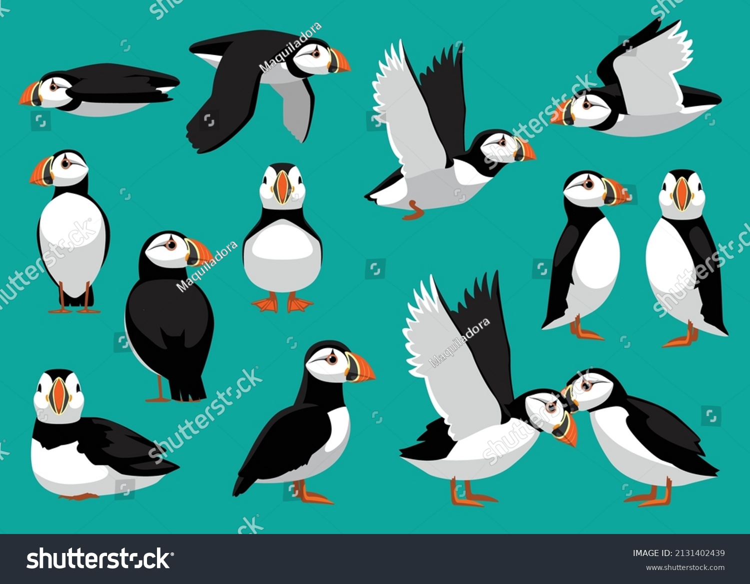 SVG of Atlantic Puffin Cute Flying Standing Poses Cartoon Vector Illustration svg