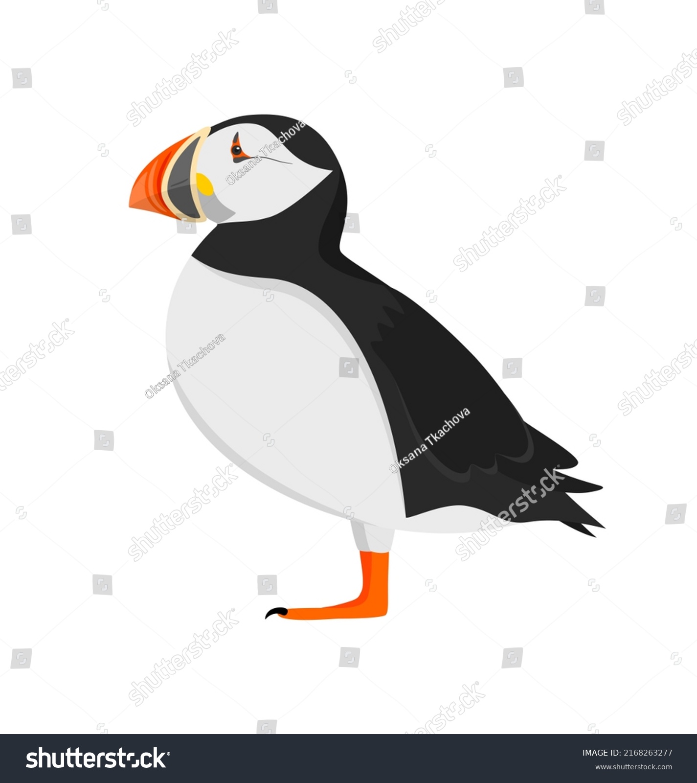 SVG of Atlantic puffin in profile isolated on a white background svg