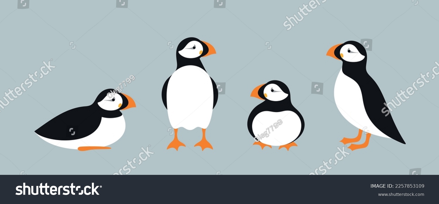 SVG of Atlantic puffin logo.  Isolated puffin on white background svg
