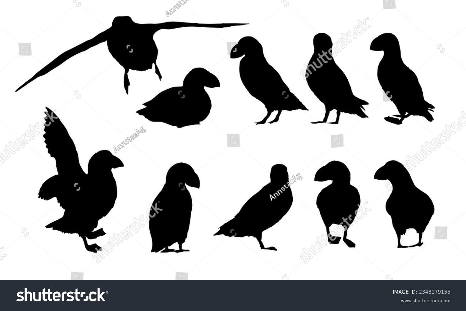 SVG of Atlantic puffin silhouettes set. Realistic Fratercula arctica or common puffin birds in different poses. vector birds svg
