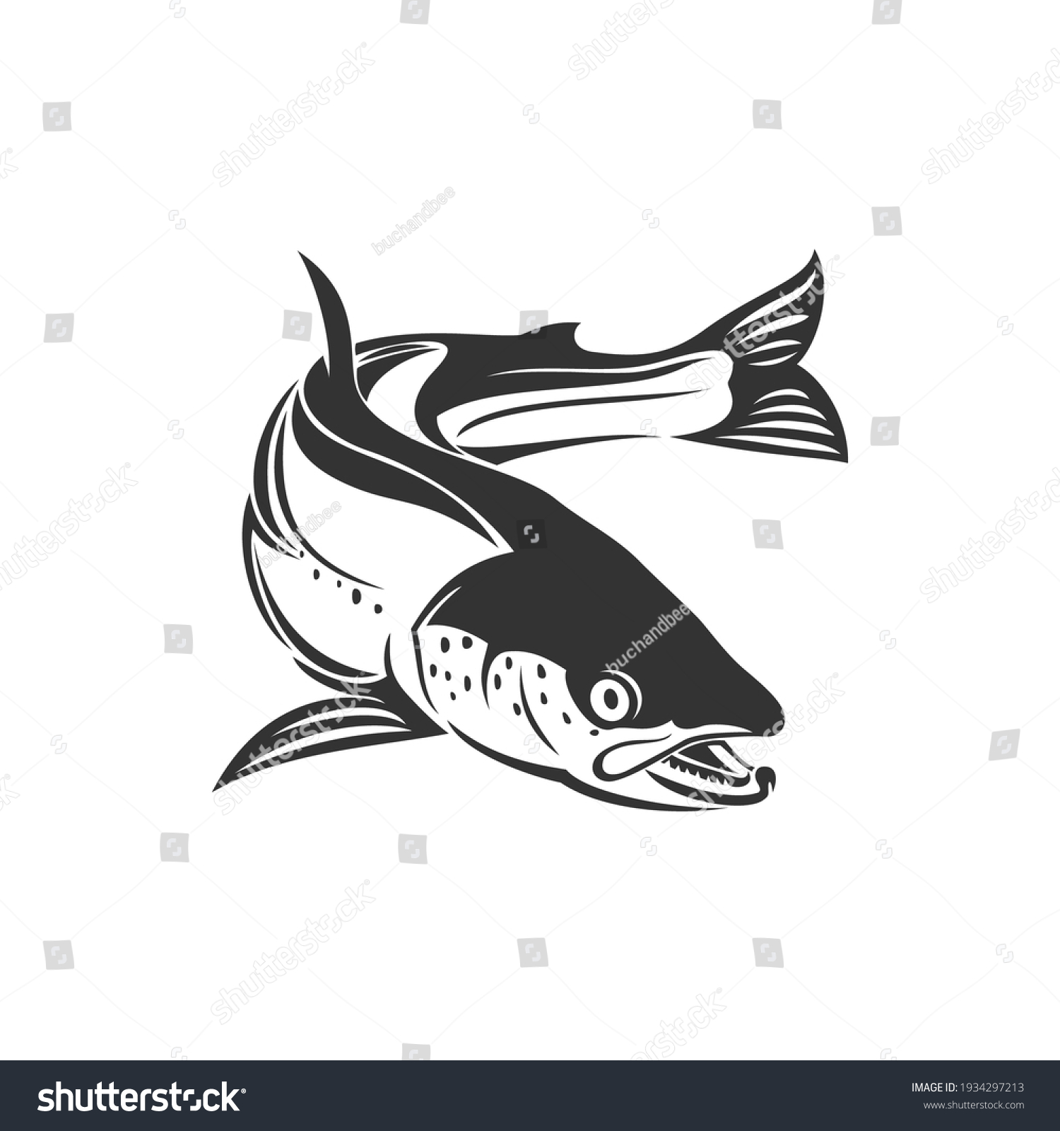 Atlantic Salmon Rayfinned Fish E Isolated Stock Vector (Royalty Free ...