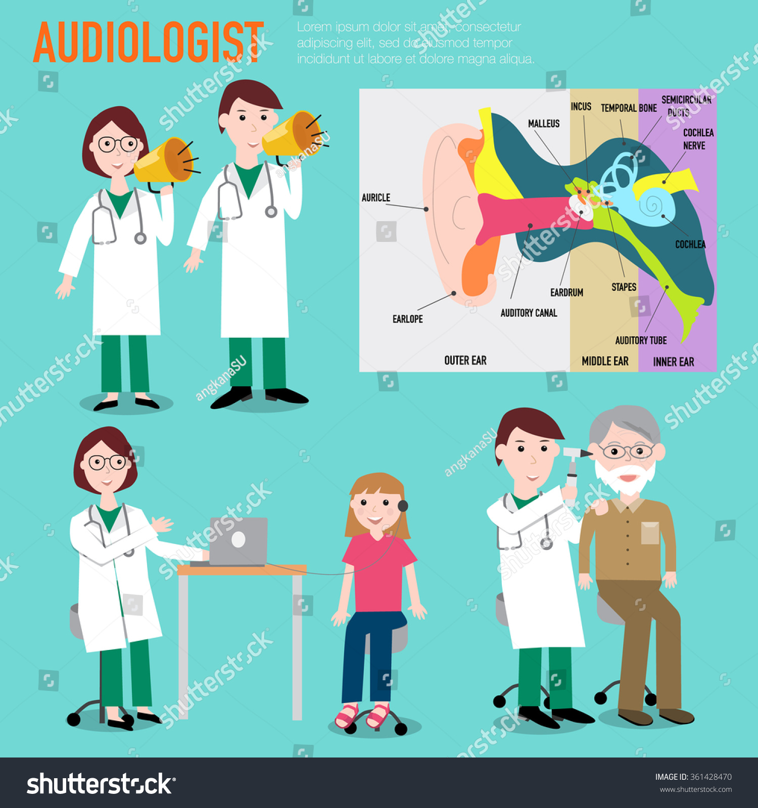 Audiologist Audiology Anatomy Ear Vector Infographic Stock Vector ...