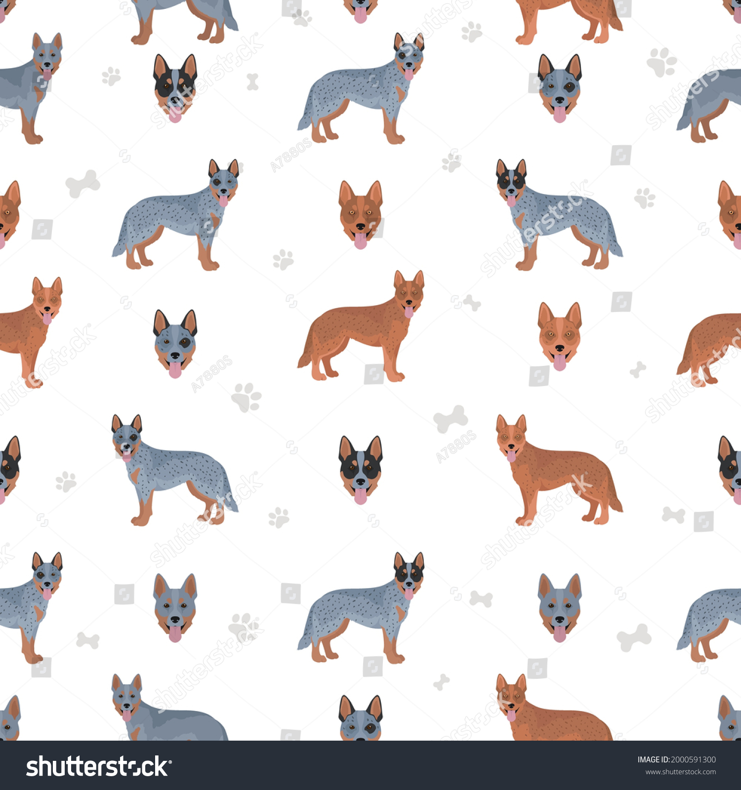 SVG of Australian cattle dog all colours seamless pattern.  Different coat colors and poses set.  Vector illustration svg