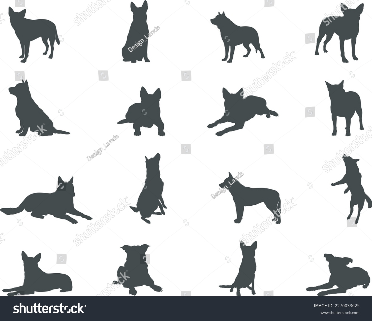 SVG of Australian cattle dog silhouettes, Australian cattle silhouettes, Australian cattle dog SVG svg