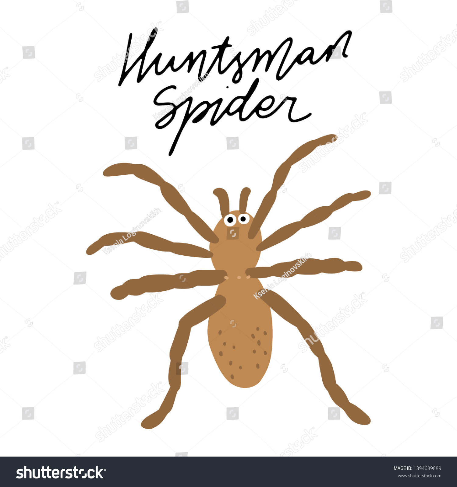 Australian Insect Huntsman Spiderl Vector Illustration Stock